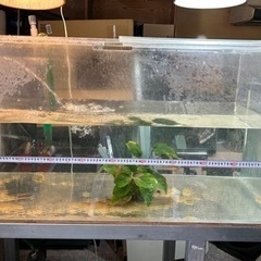 江戸時代末期～明治時代初期古九谷青手九谷富士に逆富士図24.2cm大鉢