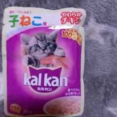 キャットフード（チキン）