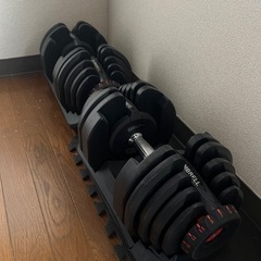 可変式ダンベル　40kg ✖️2