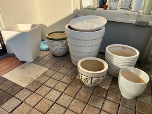 観葉植物　大きい鉢　6個セット