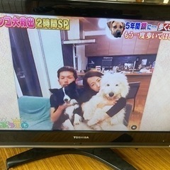 TOSHIBA液晶テレビ32インチ