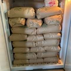 新米(令和5年産米)　コシヒカリ　玄米30kg