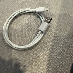 USB type-C ケーブル