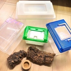 飼育箱　セット　昆虫　小バエシャッター　爬虫類　コルク