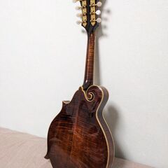 Eastman MD915 MD-915 イーストマン フラットマンドリン Fスタイル