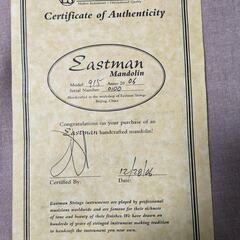Eastman MD915 MD-915 イーストマン フラットマンドリン Fスタイル