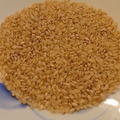 【玄米天日干し】コシヒカリ30.5kg【新米：令和5年収穫】