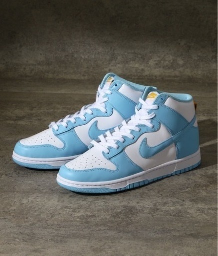 ナイキNIKE DUNK HI RETRO / 28センチ/ DD1399-401