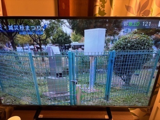Panasonicテレビ　49インチ　2017年式