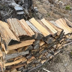 薪　広葉樹　乾燥