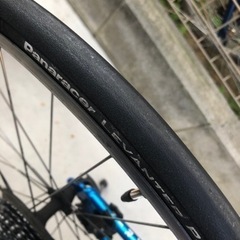 決まりました。ロードバイク　ARGENTA SE-A （435） マリン　MARIN