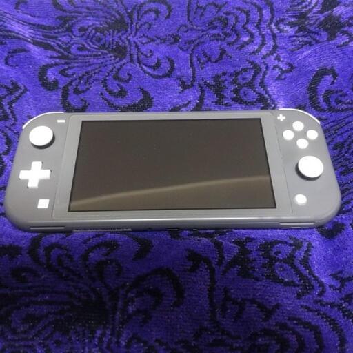 SwitchLITE グレー