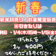 1/4（木）規格外(群馬県伊勢崎市産)　ほうれん草★　数量限定の...