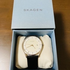 SKAGEN SKW6283