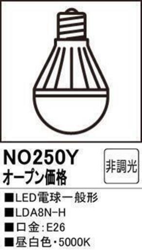 オ－デリック製LED電球一般形色温度：5000K（昼白色）10個セット