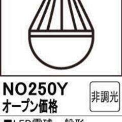 オ－デリック製LED電球一般形色温度：5000K（昼白色）10個セット