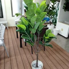 ⑤【処分価格】新品 ゴムの木(180cm)　人工観葉植物 フェイ...