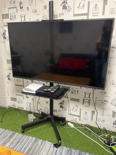 1月4日引き取り テレビ