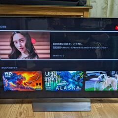  ②【有機パネル新品交換済】 LG 有機ELテレビ OLED55...