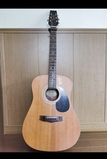 中古ギター　HAND CRAFTED GUITAR VIS-1 モデル