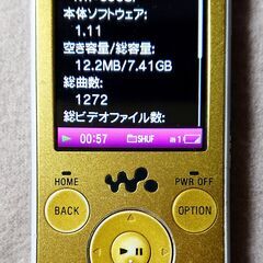 SONY WALKMAN NW-S638F 8GB 中古品【お渡...