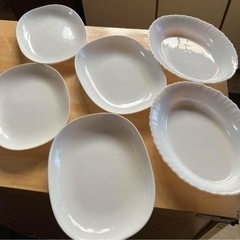 白いお皿シリーズ