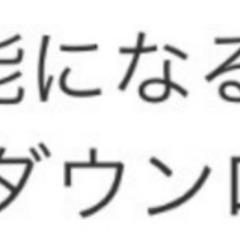 チケット4枚：KING OF KINGS 2023 GRAND CHAMPIONSHIP