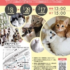 1/8(月・祝)13:00-15:00 みなとねこ保護猫譲渡会@東京芝浦 - イベント