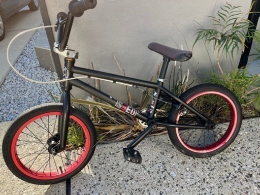 BMX bmx wethepeople seed 2015