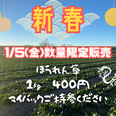 新年★ラスト１名様‼　 1/５（金）規格外(群馬県伊勢崎市産)　...