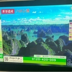 パナソニック　ビエラ　プラズマテレビ　TH-42PZ800 42インチ