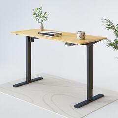Flexispot E1 スタンディングデスク バンブー天板 キャスター付属
