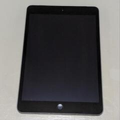 iPadmini2