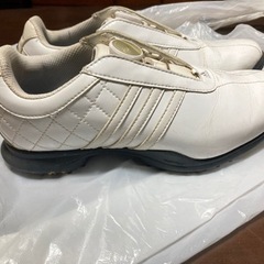 【adidas】レディース ゴルフシューズ