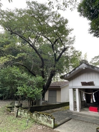 【土地】妙見神社の横の土地（鹿児島県）