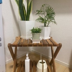 木製折りたたみラック+観葉植物x3