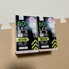 ダイソー 電球 2つ