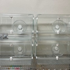 グラスハーモニー450  (4つセット)            回転車&水飲み付き