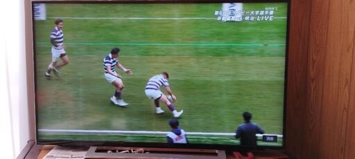【商談中】【最終値引き】2019年製東芝 43V型4Kチューナー内蔵液晶テレビ REGZA 43M520X