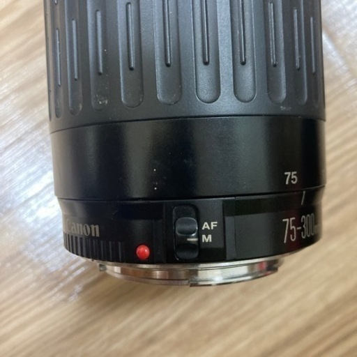 Canon EF75-300mm F4-5.6 レンズフード付き