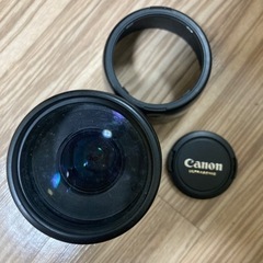 Canon EF75-300mm F4-5.6 レンズフード付き