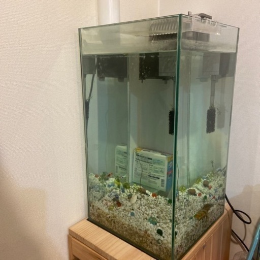 GEX水槽 水槽まわり色々セット