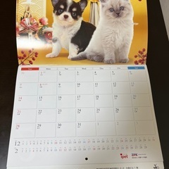 全国ペット協会の2024年カレンダー（非売品）