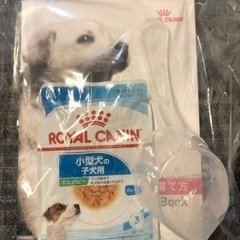 【試供品】ロイヤルカナン　ミニパピー　ドッグフード　犬　餌