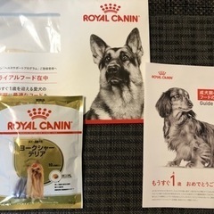 【試供品】ロイヤルカナン　ヨークシャーテリア　ドッグフード　犬　餌