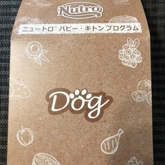 【試供品】ニュートロ　パピー　ドッグフード　犬　餌