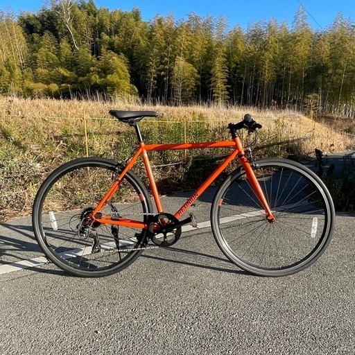レユニオン リル クロスバイク　サイズ　510mm : 170cm～