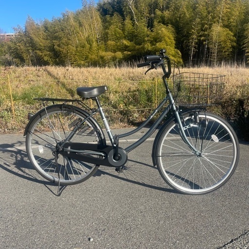 ANIMATO26インチ自転車