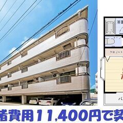 🔴あと２室！契約費用【１１,４００円】でご入居相談可能！３階の高...