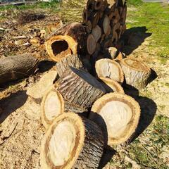 薪丸太【取引き中】2㌧トラック